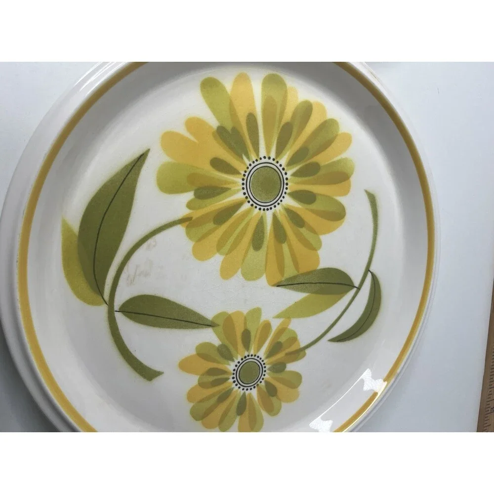 Mikasa Light n Lively Happy Set Of 4 Dinner Plates 70’s Flower Floral BIN2